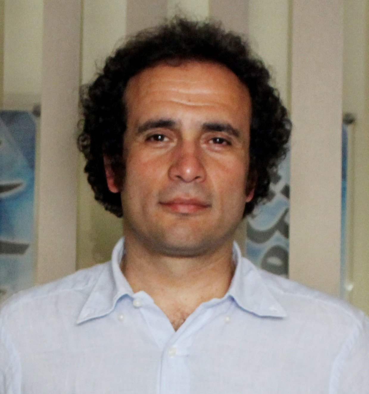  الدكتور عمرو حمزاوى 