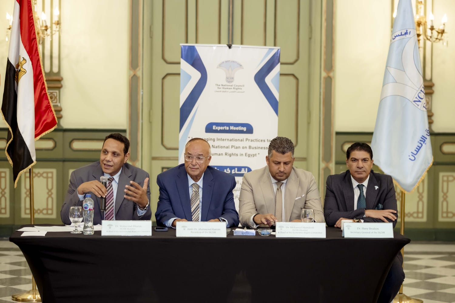  اللقاء التشاوري للخبراء حول  الاستفادة من الممارسات الدولية لتطوير خطة عمل وطنية حول الأعمال التجارية وحقوق الإنسان في مصر 